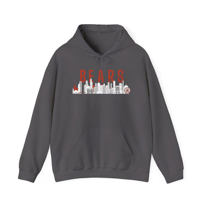 Unisex Chicago Bears Hoodie City Collection